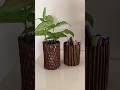Diy pen stand and planter #penstand#planter#diy#artcraft#homedecor#decor#tabledecor#home #plants