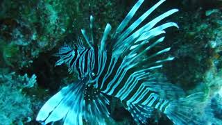 DSCF0660