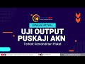 Diskusi Virtual Uji Output Puskaji AKN terkait Kemandirian Fiskal