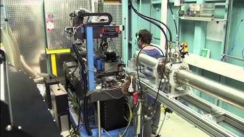 3-D X-ray Provides Detailed Images of How Living Insects Move