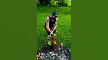 Katana training #katana #training