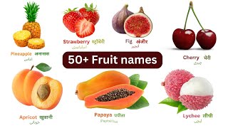 50 + Name Of Fruits In English Vocabulary Words | Name Of Fruit In Hindi and Urdu by Suma English Vocabulary 174 views 4 months ago 3 minutes, 20 seconds