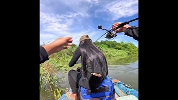 Bàn tay vàng trong làng thể hiện 😁