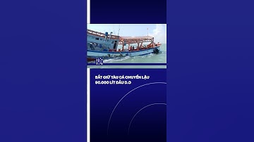 Bắt giữ tàu cá vận chuyển 90.000 lít dầu D.O không rõ nguồn gốc | VTVMoney