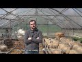 Sheep dairy farm "Bosschelle" - An overview by Laurens De Middeleer