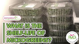 What is the Shelf Life of Microgreens?