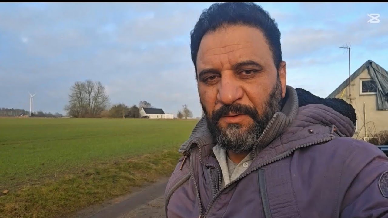 البط المسكوفي وضع البيض