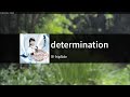 determination - fripSide  カラオケ 노래방