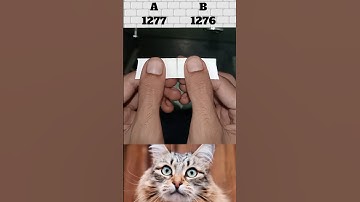 What is the number system 🤯💥😱 #shorts #trending #cat