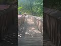 A Walk on a Bridge.