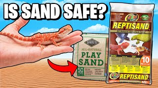Famous Is Sand Safe for Bearded Dragons? Profile