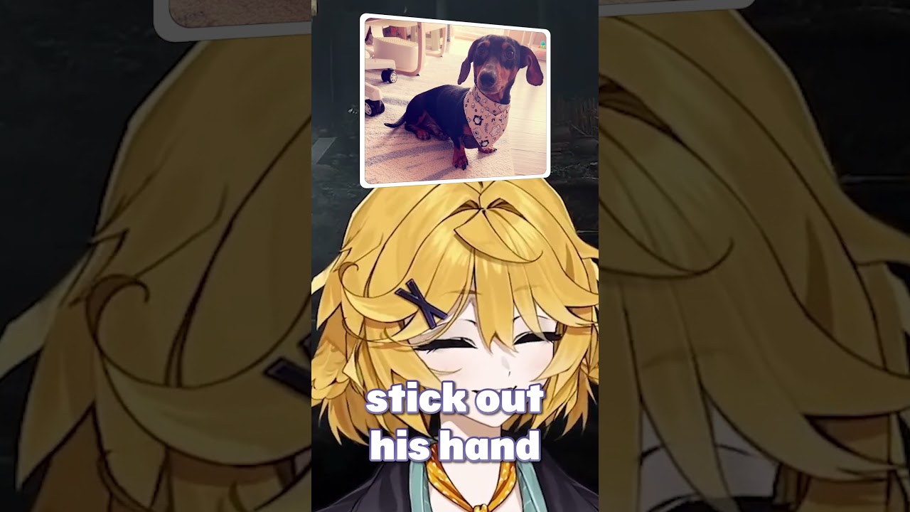 Doki's Dog Attack! 