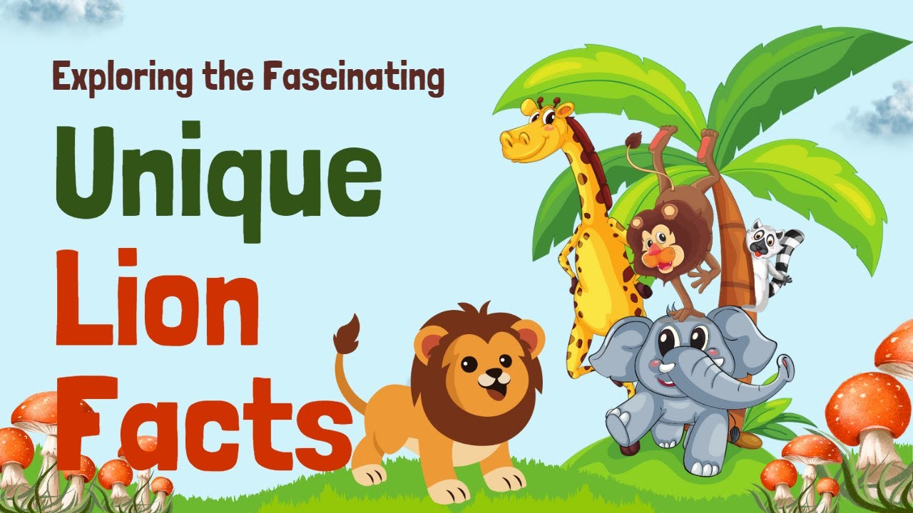 Cartoon Unique Lion Facts - Lazy Animals