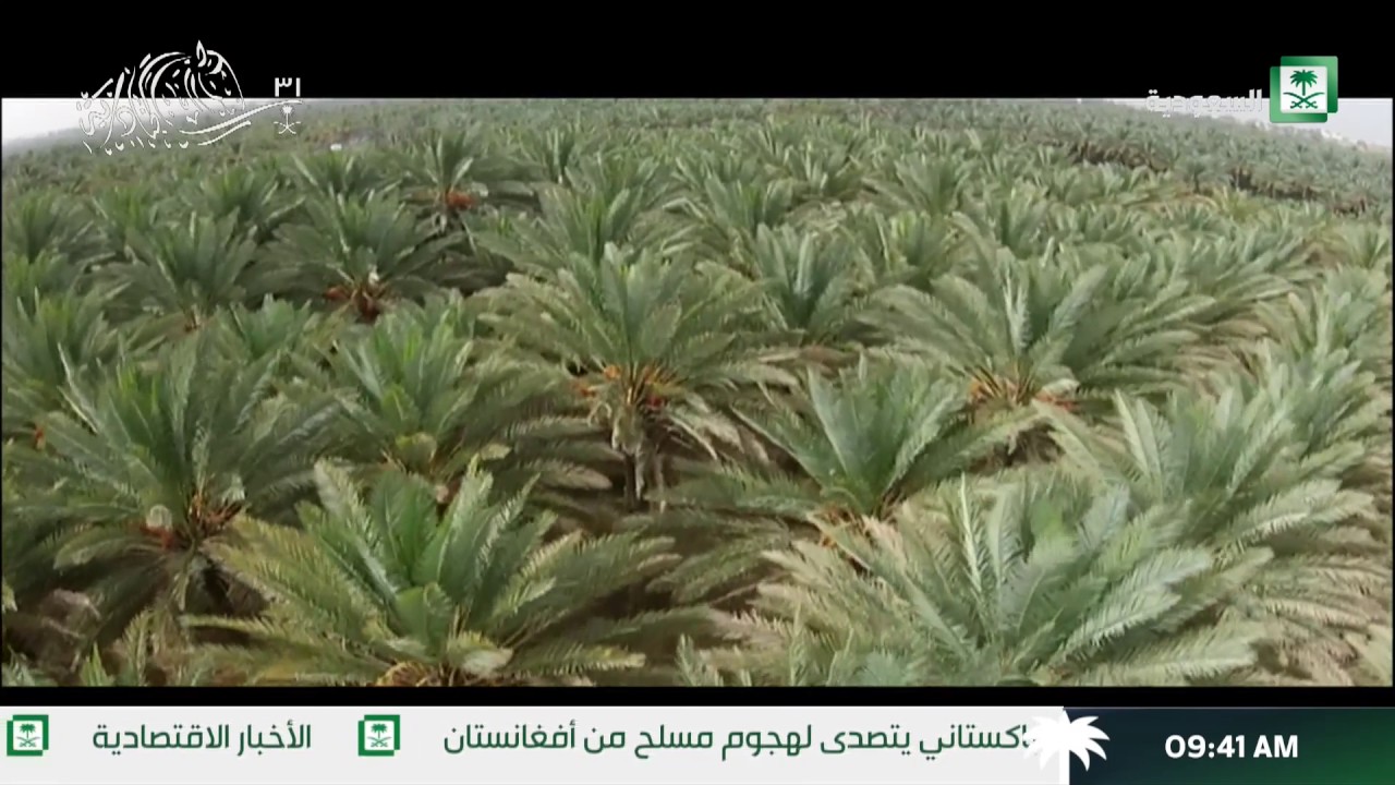 برنامج مدن و شواطيء  دومة الجندل