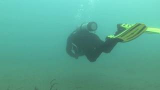 Forgetmenot Pond Dive