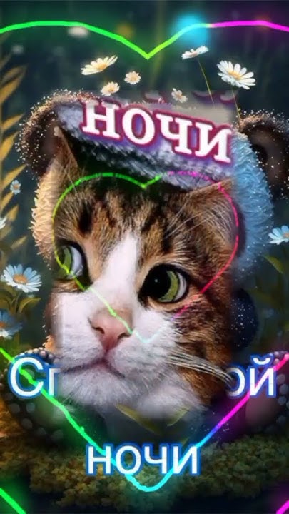 Доброй ночи! - YouTube