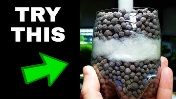 DIY H2O2 Aquarium Doser Tutorial | How to Build an Oxygen-Releasing Algae and Shrimp Health Fix