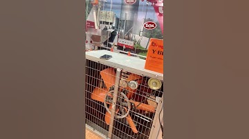 Quạt Hút Công Nghiệp Trang Trại Chăn Nuôi Tín Phát, Giải Pháp Làm Mát Hiệu Quả