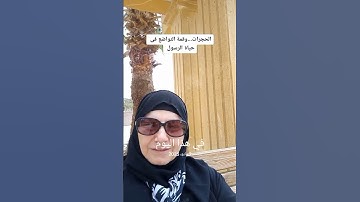 سورة الحجرات وقمة التواضع فى حياة الرسول سيدنا محمد صلي الله عليه وسلم #نقطة_نور #اكسبلور #المصحف