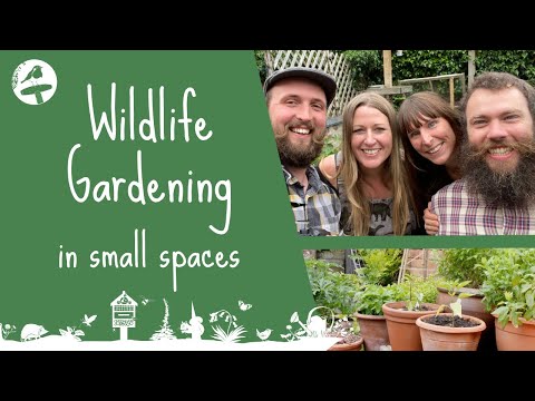 Video: Wildlife Container Habitat – Tips voor het tuinieren in het wild in plantenbakken