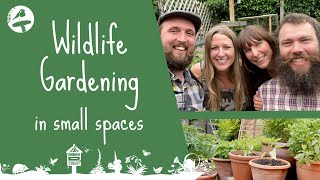 Wildlife Gardening in Small Spaces with Ellie and Ben from the Wildlife Garden Podcast by The Wildlife Garden Project 17,465 views 1 year ago 29 minutes