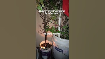 30 दिसम्बर सोमवती अमावस्या को करें यह उपाय #प्रदीपमिश्राजी #उपाय#सोमवार #उपाय