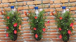 membuat pot bunga gantung yang indah dari botol bekas // beautiful hanging flower pot