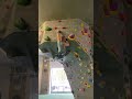 Took it easy today bouldering climbing