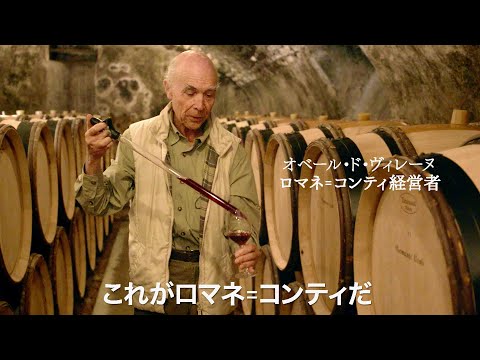 「ワインとは、土地と空気、成分と時間を飲むこと」神の土地の醸造所が明かすワインの真髄とは？