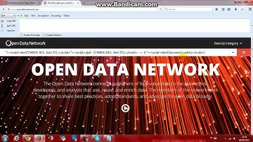 Socrata OpenData Vulnerability