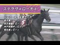 【競馬】有馬記念 有力馬 ステラヴェローチェ レース&主要データ