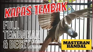 KATEM GACOR MASTERAN HANDAL #cucakjenggot #cakjenggotgacor #masteranmurai