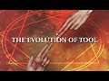 The evolution of tool