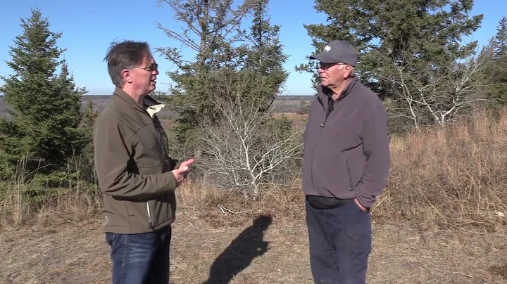 Managing wild pigs in Manitoba - Part 2 | Manitoba Cooperator