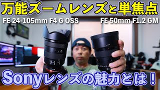 【カメラ】ソニーの魅力！標準ズームレンズ FE 24-105mm F4 G OSSは単焦点レンズと組み合わせて使うとより魅力的になる！