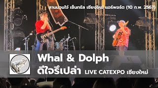 [ดูหนังฟังเพลง] Whal & Dolph ดีใจรึเปล่า (D JAI) แสดงสดครั้งแรกที่ #CatExpoChiangMai (10 ก.พ. 67)