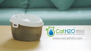 CatH2O Fuente de Agua Mini para Gatos 1,2 lts Celeste video