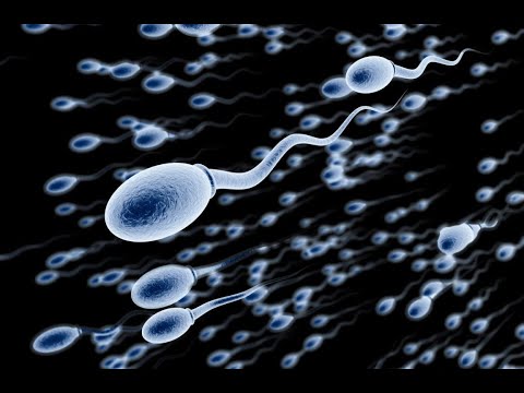 من أين يأتي مني الرجل