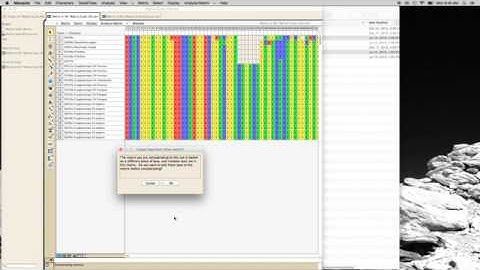 Mesquite Concatenation 480