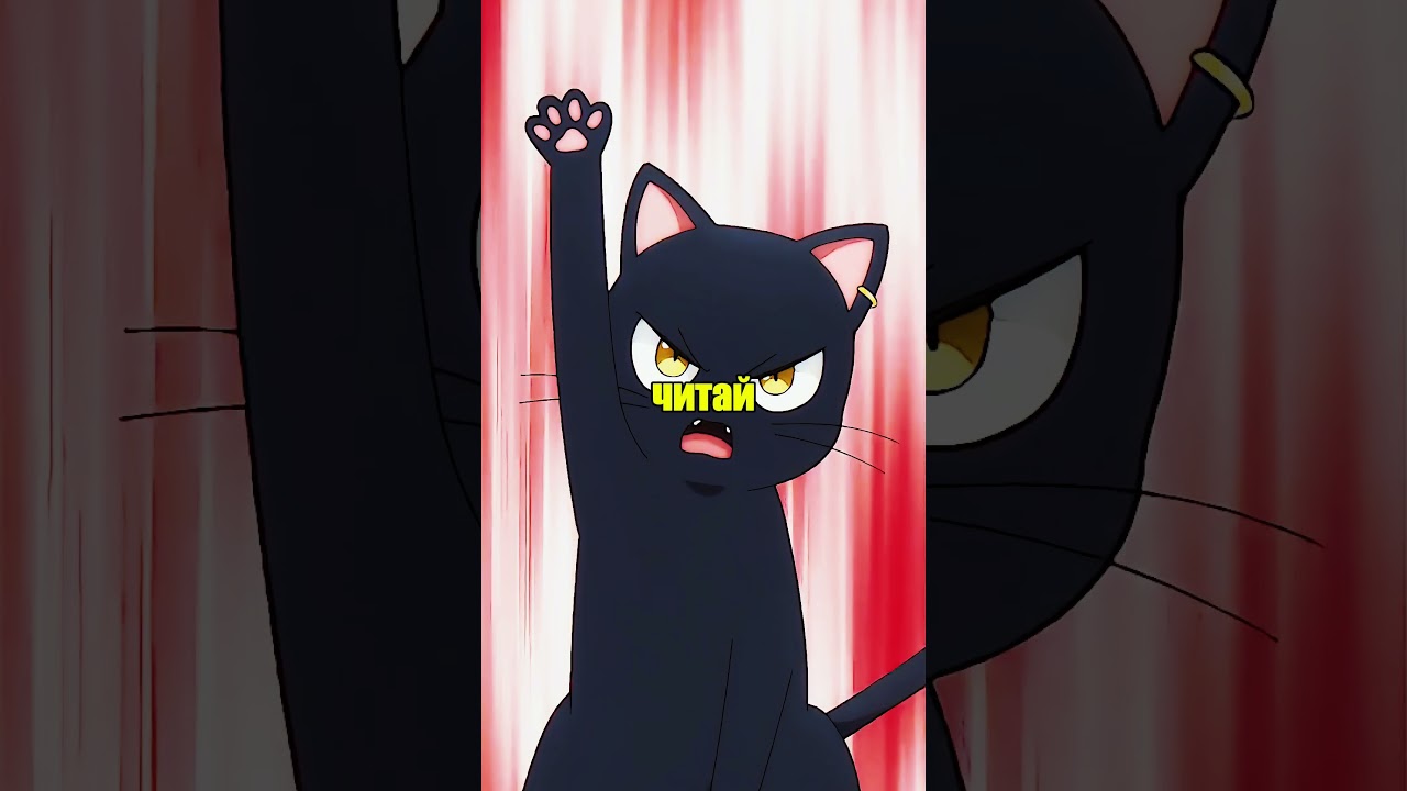 она хочет научиться магии и поступить в лучшую школу #а… — Transcript