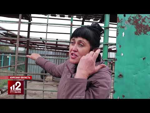 Уборщица едва не стала добычей медведя |  видео