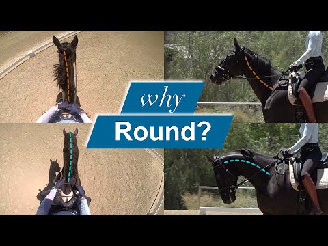 Why does it matter if my horse is Round?