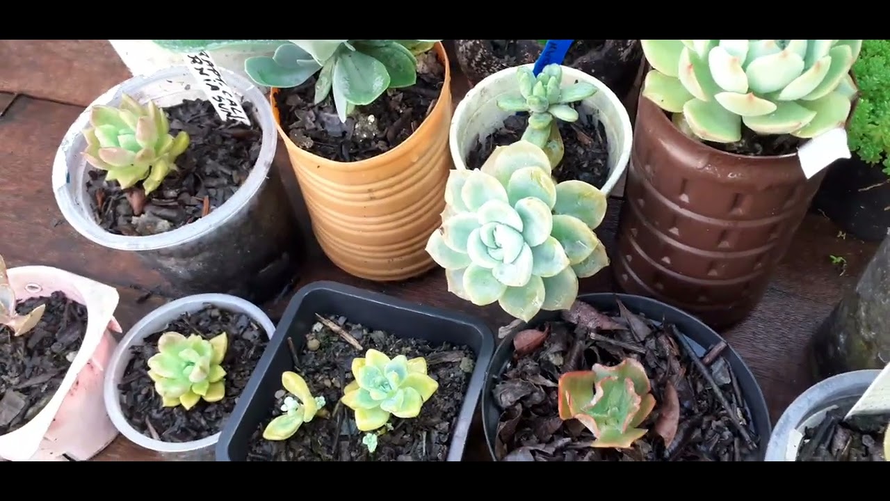 Agora assim está  bem recuperadas pós mudança.