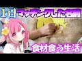 【スプラトゥーン2】【後編】【実写】マッチングした名前の食材しか食えない企画を１日だけやったらご褒美企画になった！？