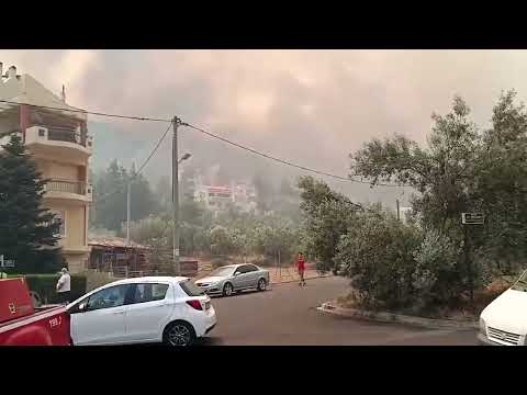 Μεγάλη και επικίνδυνη η πυρκαγιά στη Χασιά του Δήμου Φυλής