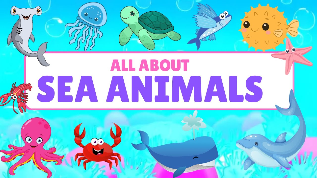 Learn All About Sea Animals | Names &Fun Facts | Ocean Adventure for ...