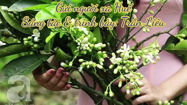 Gửi người xa Huế