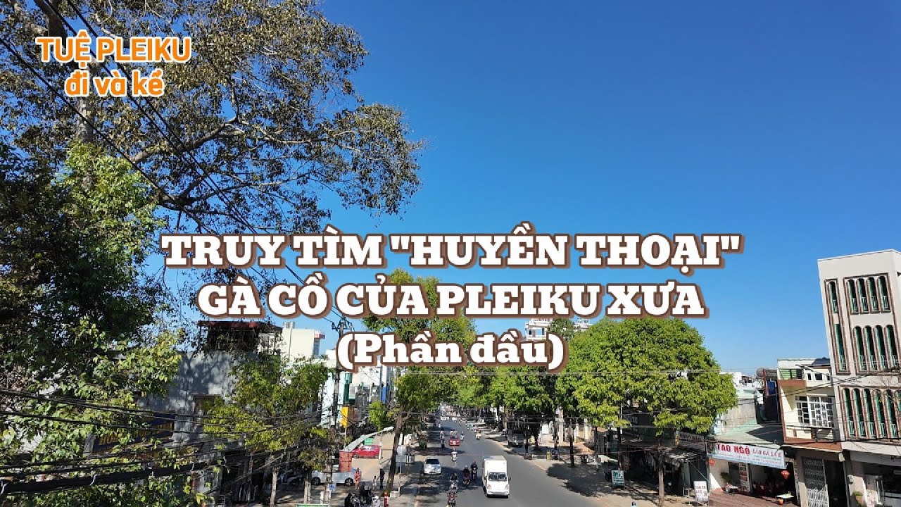 Truy tìm 