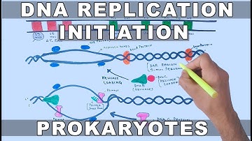 DNA Replication in Prokaryotes | Initiation