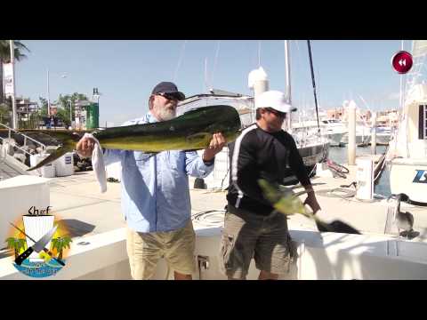 Sea Lion stealing Monster fish!!